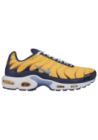 Baskets Nike Air Max Plus Hommes J2013-800
