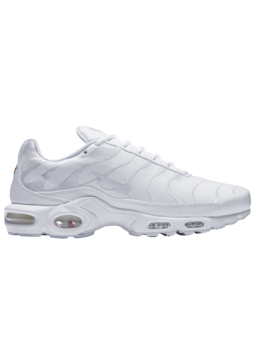 Baskets Nike Air Max Plus  Hommes J2029-100