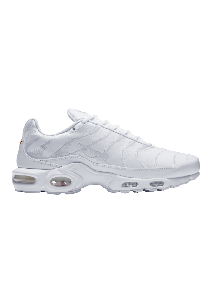 Baskets Nike Air Max Plus Hommes J2029-100