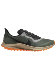 Chaussures Nike Air Zoom Pegasus 36 Trail GTX Hommes V7762-300