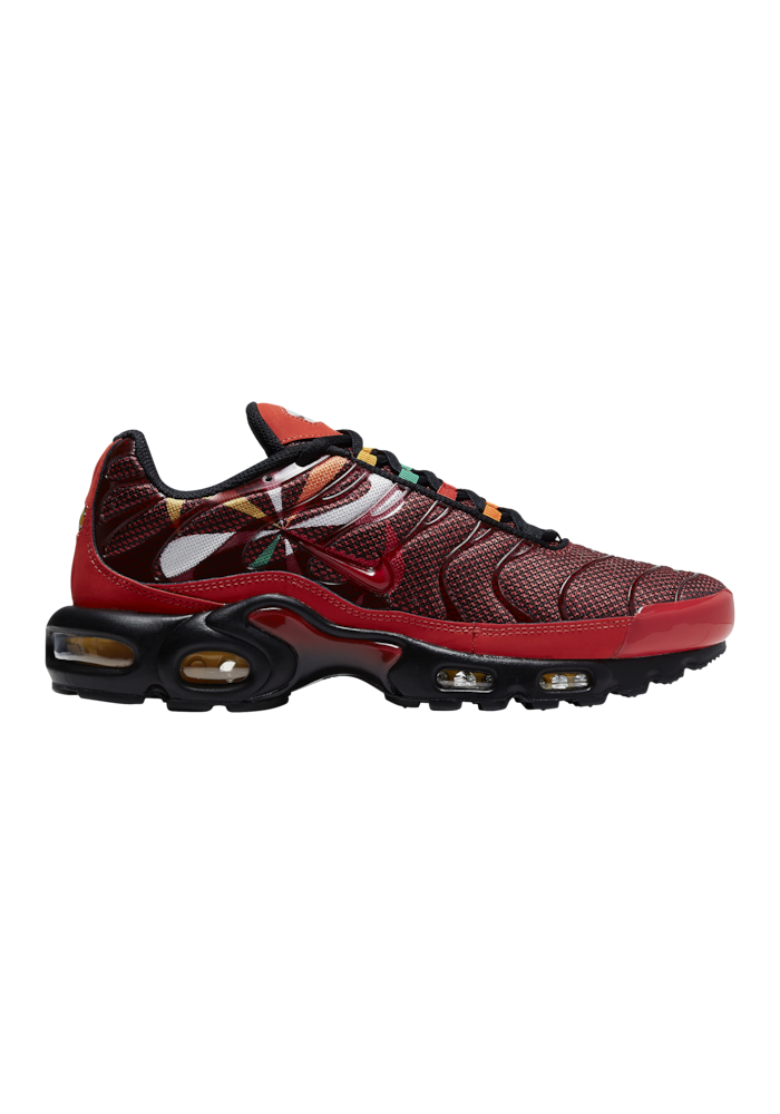 Chaussures Nike Air Max Plus Hommes K9393-600