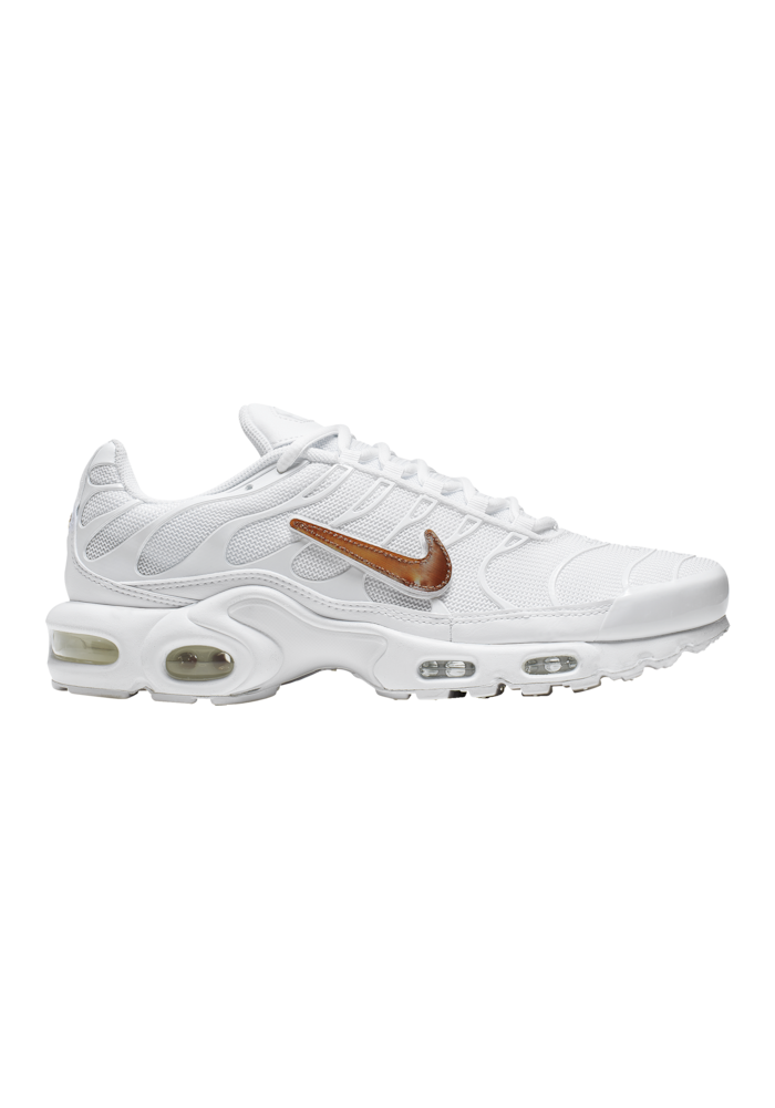 Chaussures Nike Air Max Plus V Hommes J9696-100