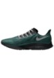 Chaussures Nike Air Zoom Pegasus 36 NFL Hommes I1931-300