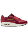 Chaussures de sport Nike Air Max 1 Femme T1149-600