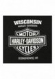 Harley-Davidson Hommes Toasty Flaming Skull col rond manches courtes T-Shirt Noir 30297449