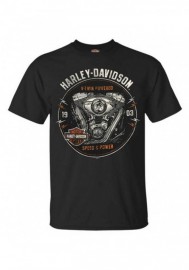 Harley-Davidson Hommes Engine Grunge manches courtes col rond T-Shirt Noir 30292302