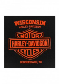 Harley-Davidson Hommes Engine Grunge manches courtes col rond T-Shirt Noir 30292302