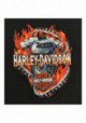 Harley-Davidson Hommes Chain Breaker Flaming Engine manches courtes T-Shirt Noir 30297447