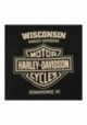 Harley-Davidson Hommes Eagle Lightning manches courtes col rond T-Shirt - Noir 30292390