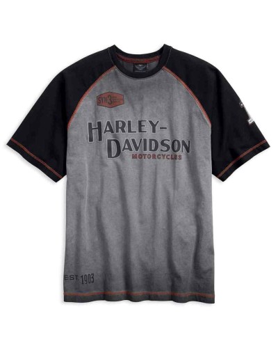 Harley-Davidson Hommes Iron Block Raglan manches courtes Tee Shirt  Gray 99011-17VM