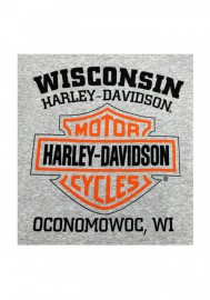 Harley-Davidson Hommes Bar & Shield Logo Pullover à capuche Sweatshirt Gray 30299144