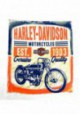 Harley-Davidson Hommes Vintage Track manches courtes col rond T-Shirt White 30297420