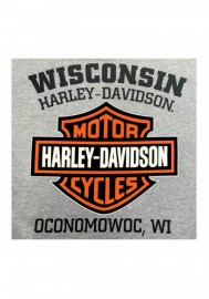 Harley-Davidson Hommes Tee Shirt Distressed Bar & Shield T-Shirt Gray 30296597