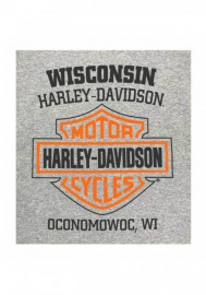 Harley-Davidson Hommes Bar & Shield manches longues col rond Shirt Gray 30297501