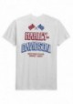 Harley-Davidson Hommes Race Flag Slim Fit manches courtes T-Shirt White 99089-20VH