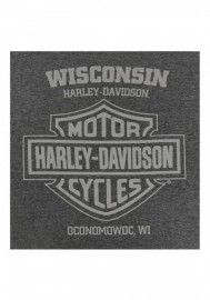 Harley-Davidson Hommes Fortify Winged Skull manches courtes Poly-Blend T-Shirt  Gray 30298732