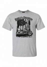 Harley-Davidson Hommes American Spirit manches courtes col rond T-Shirt  Gray 30298743