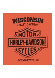 Harley-Davidson Hommes Iron Wing Premium manches courtes T-Shirt  Orange Wash 30294816