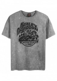 Harley-Davidson Hommes Custom Speed Legend manches courtes Crew Tee Shirt  Washed Gray 30297800