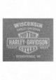 Harley-Davidson Hommes Custom Eagle Tonal manches courtes col rond Tee Shirt Washed Gray 30297804
