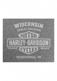 Harley-Davidson Hommes Custom Eagle Tonal manches courtes col rond Tee Shirt Washed Gray 30297804