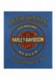 Harley-Davidson Hommes Name Flash Retro col rond manches courtes T-Shirt Blue R002833
