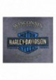 Harley-Davidson Hommes Road Grunge Reverse Dye col rond manches courtes T-Shirt R002922