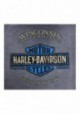 Harley-Davidson Hommes Road Grunge Reverse Dye col rond manches courtes T-Shirt R002922