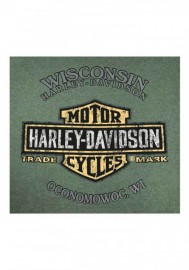 Harley-Davidson Hommes Forward Stack Distress manches courtes Crew T-Shirt Green R001421