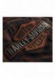 Harley-Davidson Hommes Plaid Slim Fit manches courtes Shirt - Brown 99018-20VM