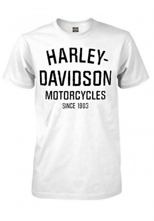 Harley-Davidson Hommes T-Shirt  Heritage Distressed manches courtes  White 30294029