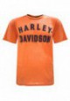 Harley-Davidson Hommes Team Name Burnout w/ Raw-Edges col rond T-Shirt - Orange R001961