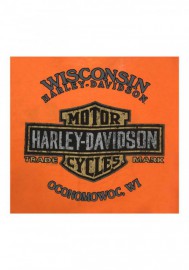 Harley-Davidson Hommes Team Name Burnout w/ Raw-Edges col rond T-Shirt - Orange R001961