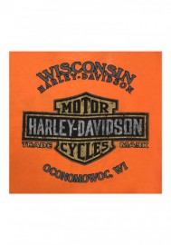 Harley-Davidson Hommes Team Name Burnout w/ Raw-Edges col rond T-Shirt - Orange R001961