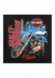 Harley-Davidson Hommes Bike Shine manches courtes col rond T-Shirt - Noir 30292385