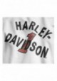Harley-Davidson Hommes Cracked Print Slim Fit manches courtes Tee Shirt  White 96790-19VM