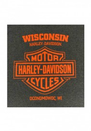 Harley-Davidson Hommes Way Down B&S Poly-Blend manches courtes T-Shirt  Charcoal 30292305