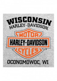 Harley-Davidson Hommes Shirt  Willie G Skull manches longues Tee Shirt  Gray 30296651