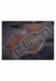 Harley-Davidson Hommes Eagle Logo Slim Fit Zippered Sweat à capuche  STee Shirtl Gray 99089-18VM
