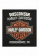 Harley-Davidson Hommes Classic Bar & Shield Logo Sleeveless Muscle Tee Shirt  Noir 30298700