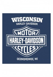 Harley-Davidson Hommes Gliding Eagle manches courtes col rond T-Shirt Harbor Blue 30297429