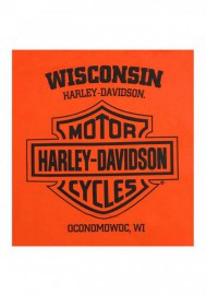 Harley-Davidson Hommes Distressed Background Sleeveless Muscle Shirt - Orange 30298759