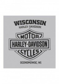 Harley-Davidson Hommes Rumble Defenders manches courtes col rond T-Shirt Silver 30297439