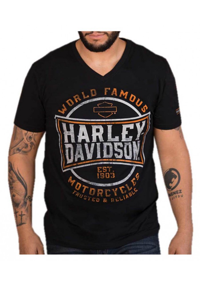 Harley-Davidson Hommes Distressed Imperial Asphalt V-Neck manches courtes T- Shirt 30298721