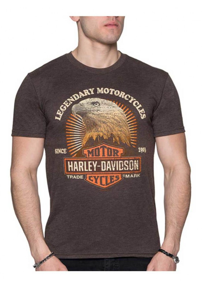 Harley-Davidson Hommes Ravenous B&S Eagle Tri-Blend manches courtes T-Shirt Brown 30292397