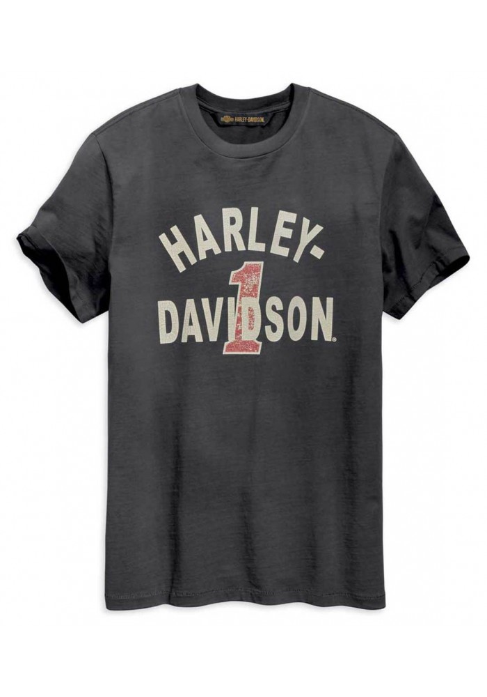 Harley-Davidson Hommes Cracked Print manches courtes Tee Shirt - Washed Noir 96002-19VM