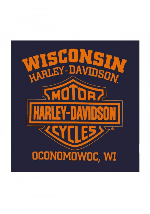 Harley-Davidson Hommes Scorch B&S Pullover Poly-Blend Sweat à capuche - Navy Blue 30292422
