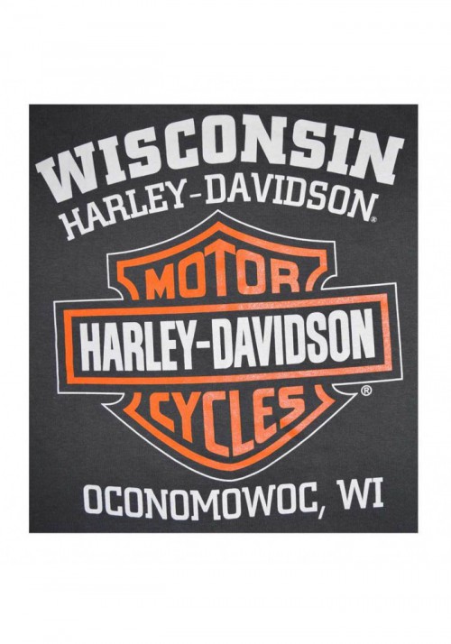 Harley-Davidson Hommes Bar & Shield Muscle Shirt Tank Top  Charcoal Tee Shirt 30296624