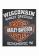 Harley-Davidson Hommes Bar & Shield Muscle Shirt Tank Top Charcoal Tee Shirt 30296624