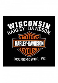 Harley-Davidson Hommes Custom Iconic Sleeveless col rond Muscle Shirt - Noir 30298978